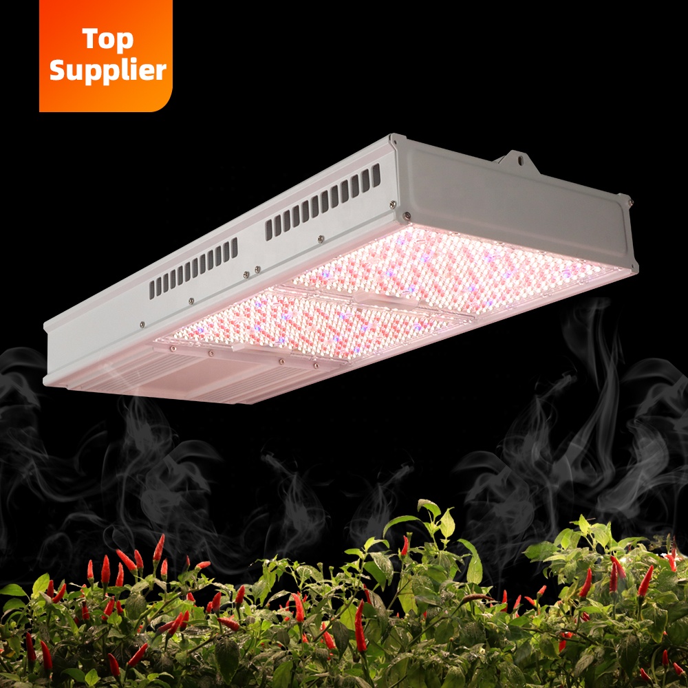 Led Grow Light - Lampe de culture LED intérieure économique