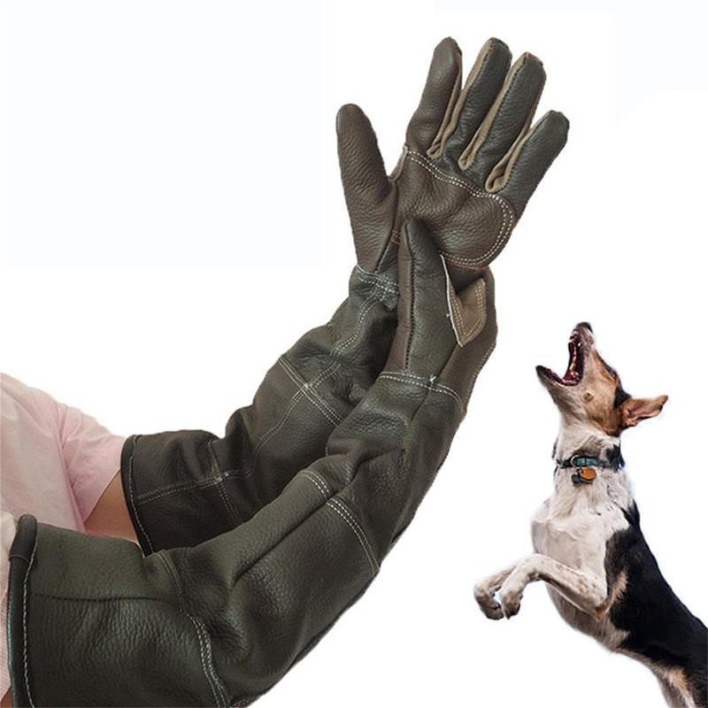 Gardening Tools Gloves - Gants pour animaux de compagnie en