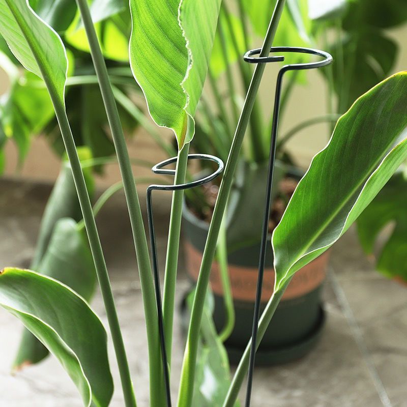 Anneau de piquet de Support de - Gardening Tools Range avis et prix