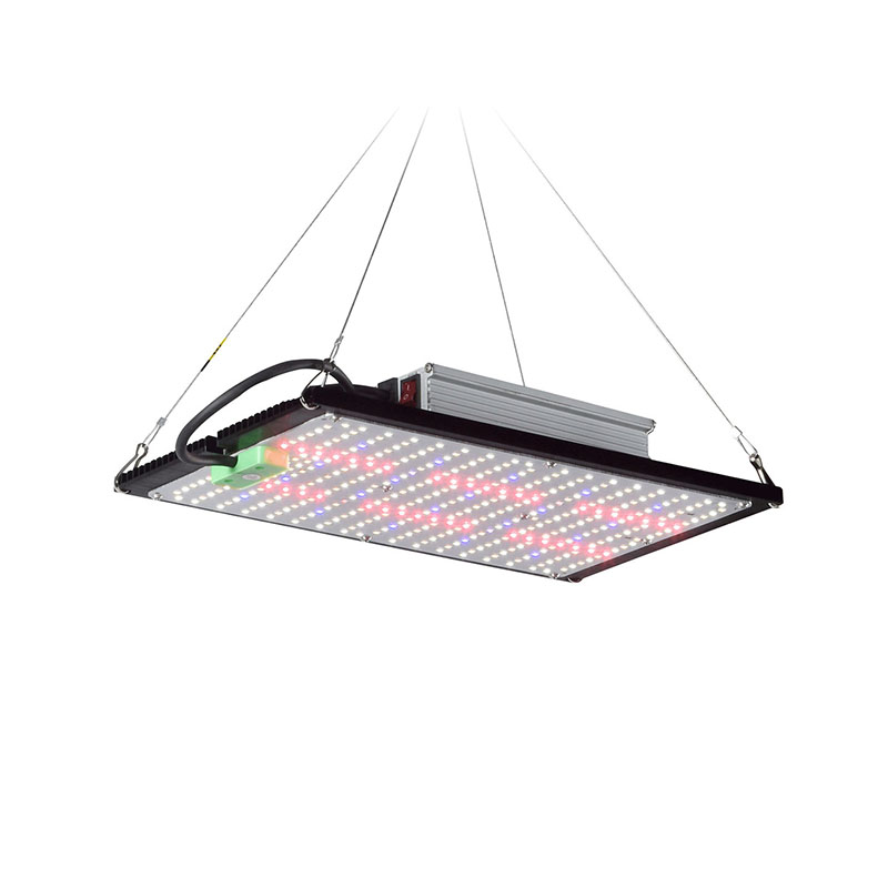 Lampe de culture LED Quantum-B - Led Grow Light avis et prix