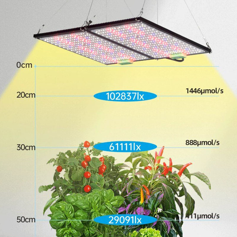 Lampe de culture LED Quantum-B - Led Grow Light avis et prix