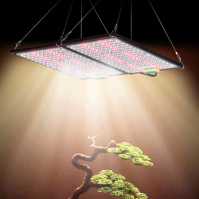 Lampe de culture LED Quantum-B - Led Grow Light avis et prix