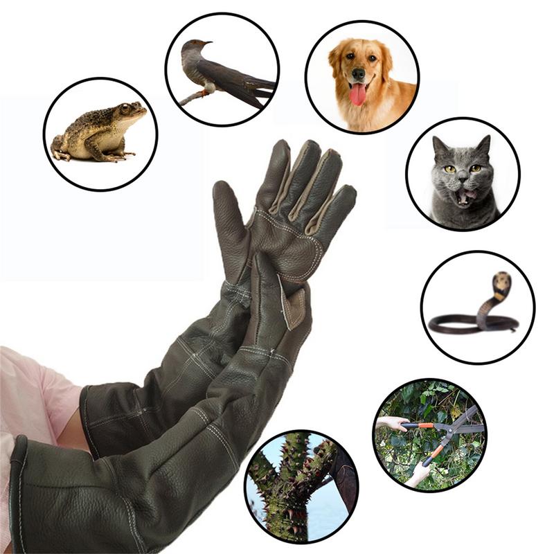 Gants pour animaux de compagni - Gardening Tools Gloves avis et prix