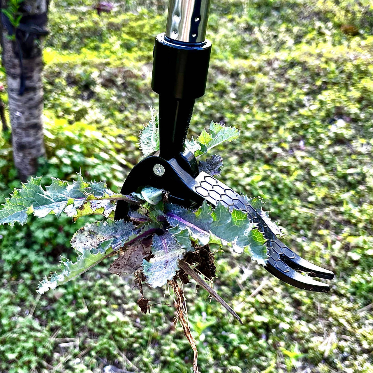 Extracteur de mauvaises herbes - Gardening Tools You Need avis et prix