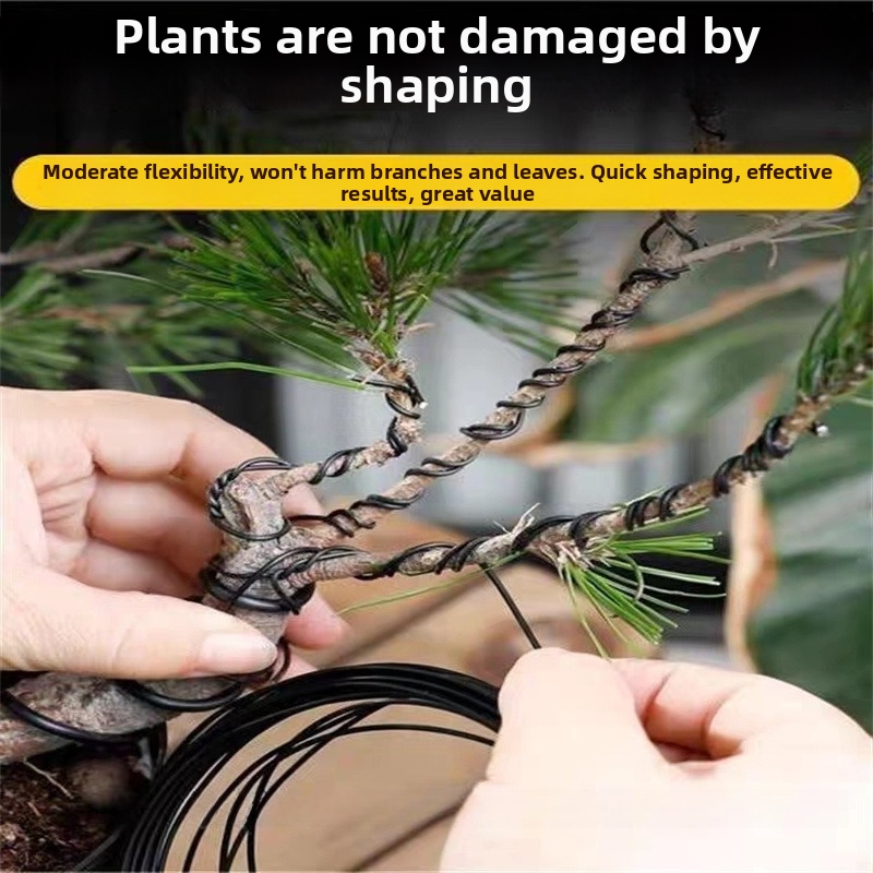 Fils de bonsaï en aluminium de - Gardening Tools Diy avis et prix