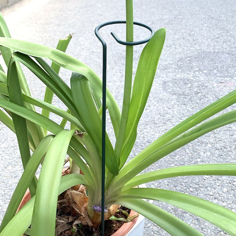 Support d'arbustes pour plante - Gardening Tools Range avis et prix