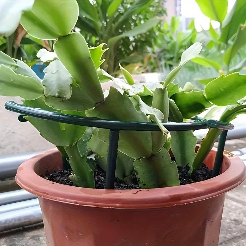Support de plante en plastique - Gardening Tools Range avis et prix