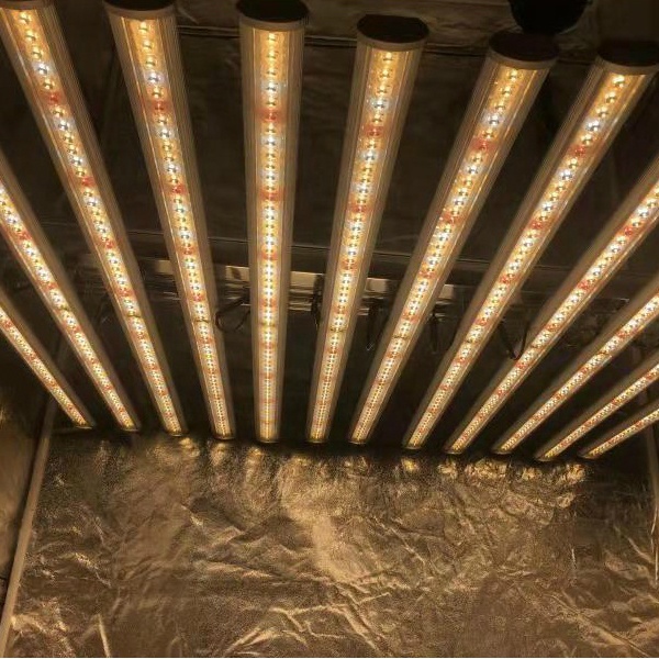 LUX Usine chinoise d'éclairage - Led Grow Light avis et prix