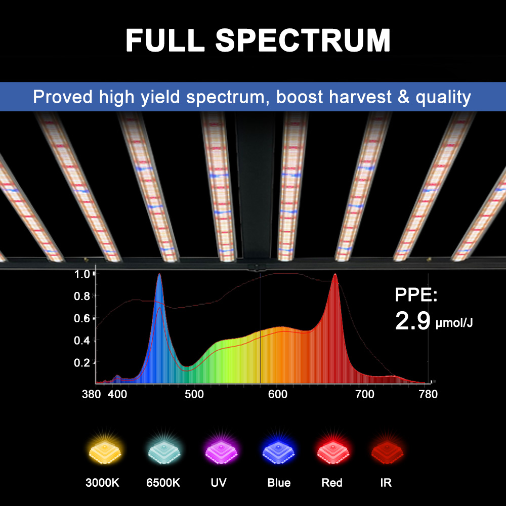 SLTMAKS 8x6FT 4X6FT 1000W Lamp - Led Grow Light avis et prix