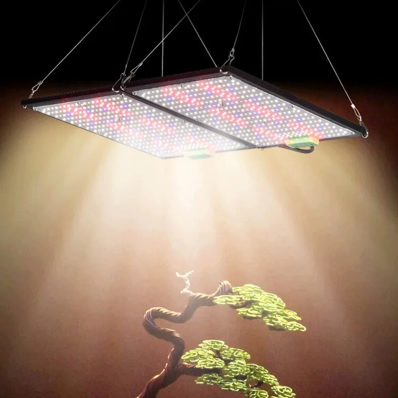 Lampe de culture LED Quantum-B - Led Grow Light avis et prix